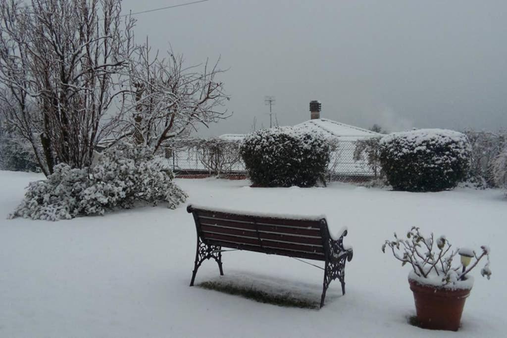Lake Orta Openspace Garden Beach Pettenasco Bagian luar foto